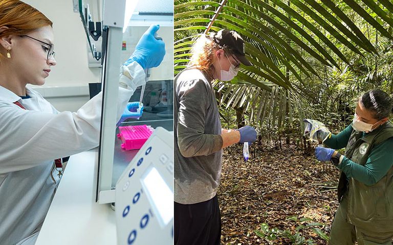 Sequenciamento genético e pesquisa de campo (Fotos: Fernando Sette e Rodrigo Avelar)