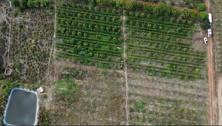 Irrigar para desenvolver