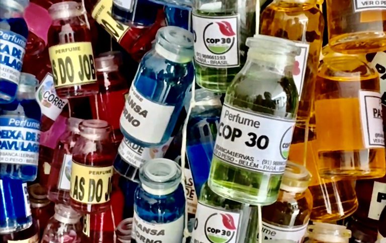 COP 30 regionalidades 2.jpeg