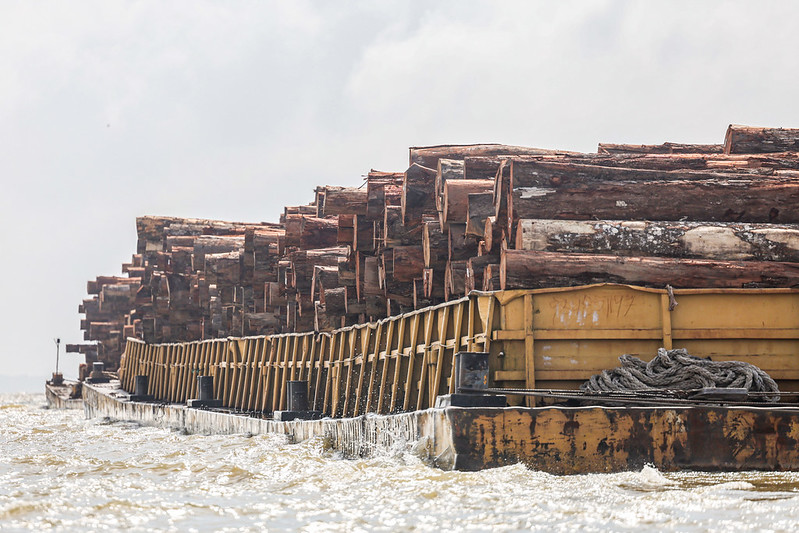 22.12.2025-Retrospectiva 2025