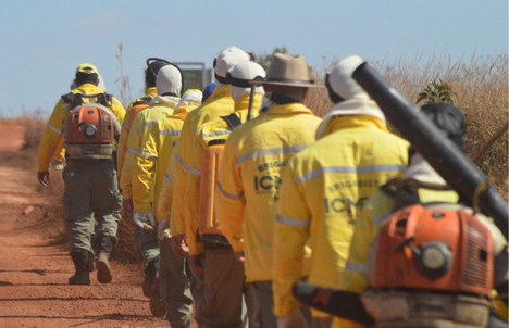 Neste ano, o ICMBio chegou à marca de 40 mil brigadistas treinados - Foto: Divulgação/ICMBio