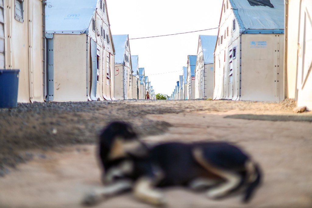 14/01/2026 Visita ao Abrigo Rondon 1