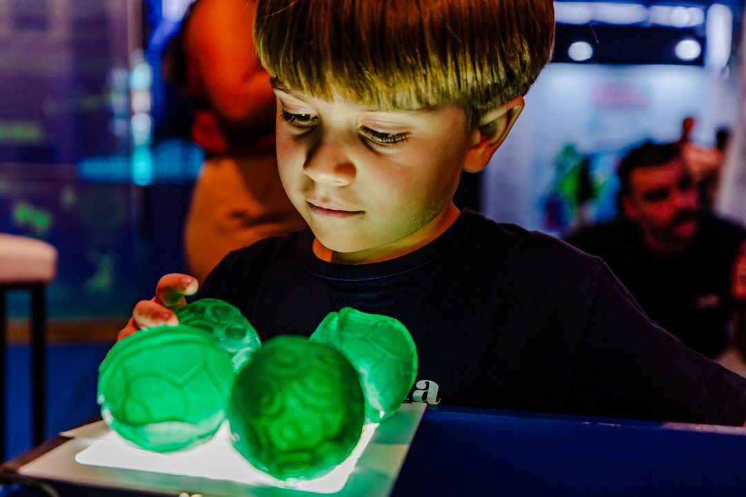 semana nacional de ciência e tecnologia__